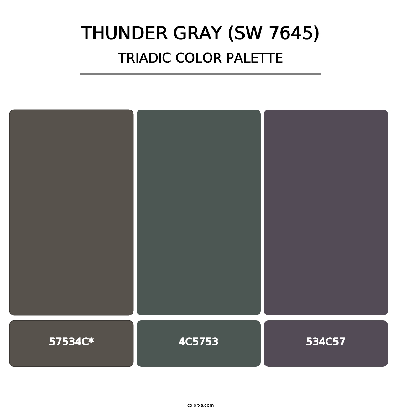Thunder Gray (SW 7645) - Triadic Color Palette