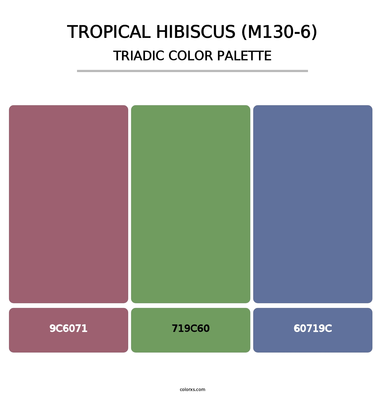Tropical Hibiscus (M130-6) - Triadic Color Palette