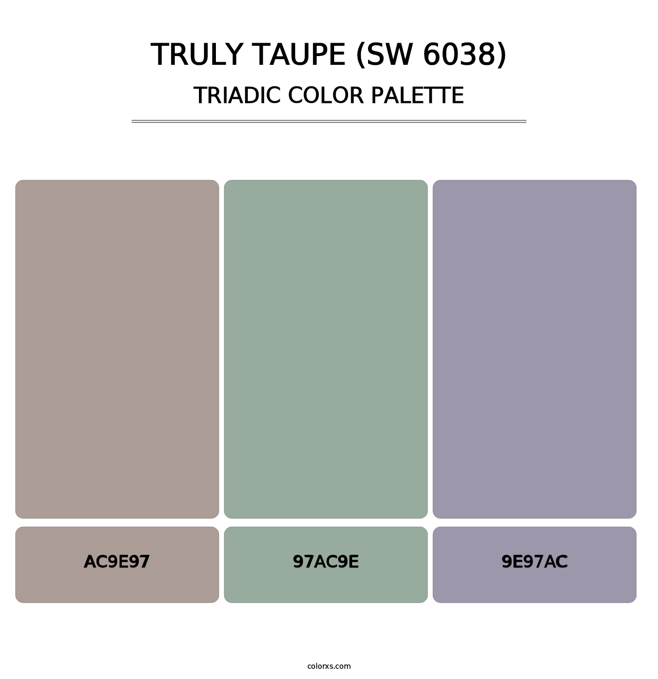 Truly Taupe (SW 6038) - Triadic Color Palette