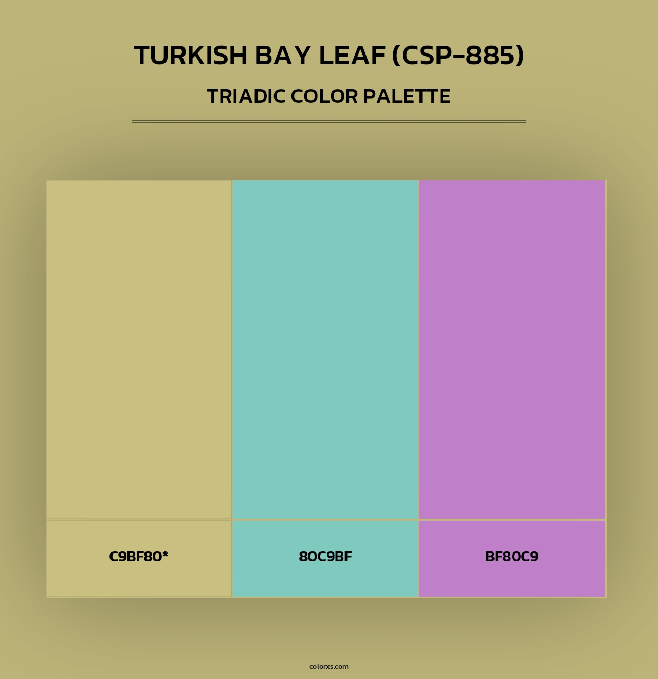 Turkish Bay Leaf (CSP-885) - Triadic Color Palette