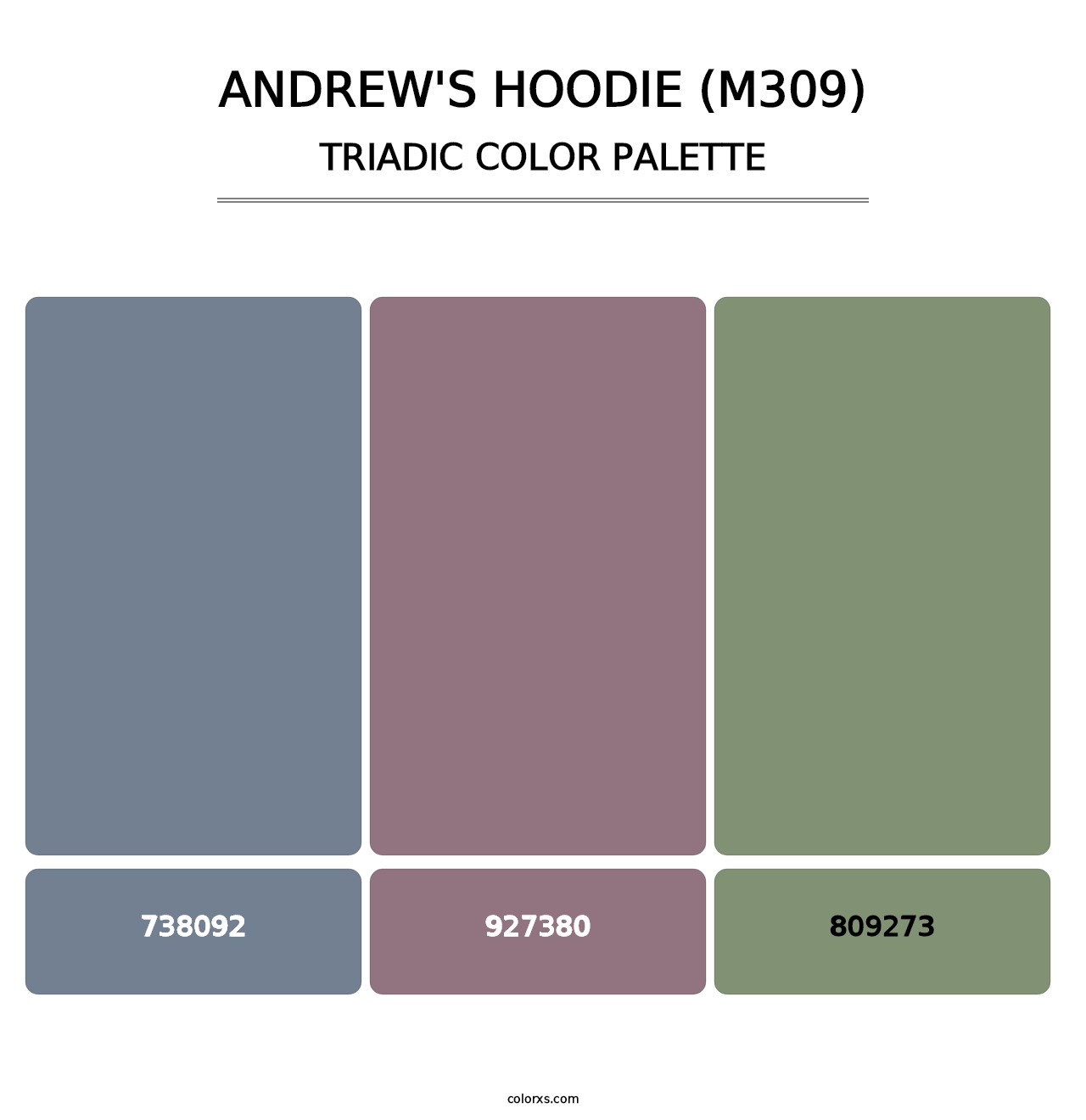 Andrew's Hoodie (M309) - Triadic Color Palette