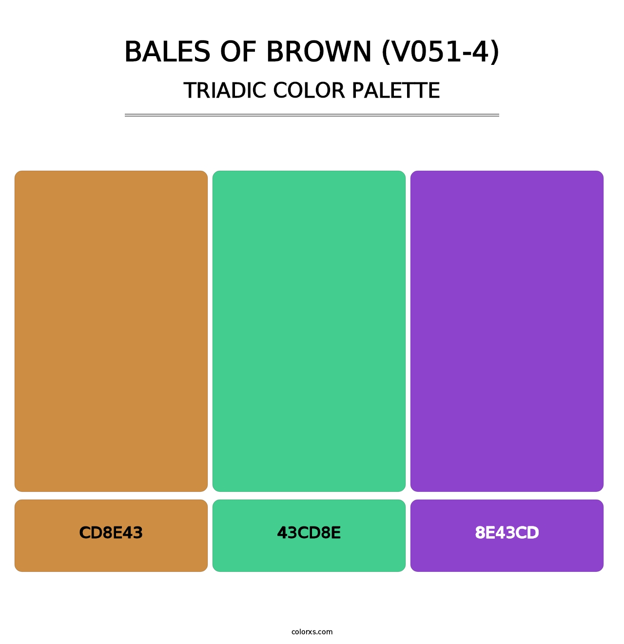 Bales of Brown (V051-4) - Triadic Color Palette