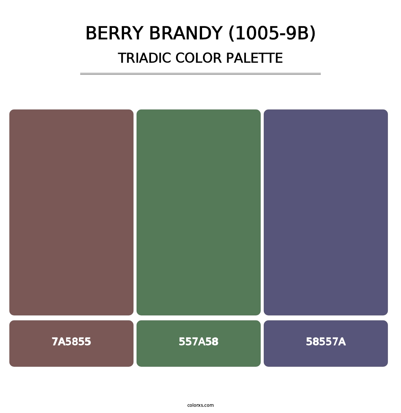 Berry Brandy (1005-9B) - Triadic Color Palette