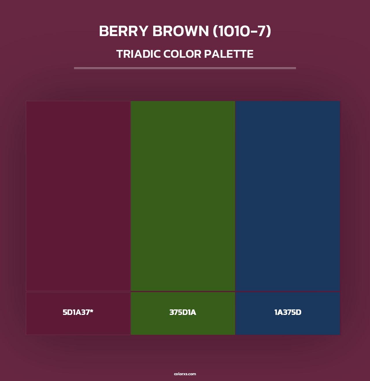 Berry Brown (1010-7) - Triadic Color Palette