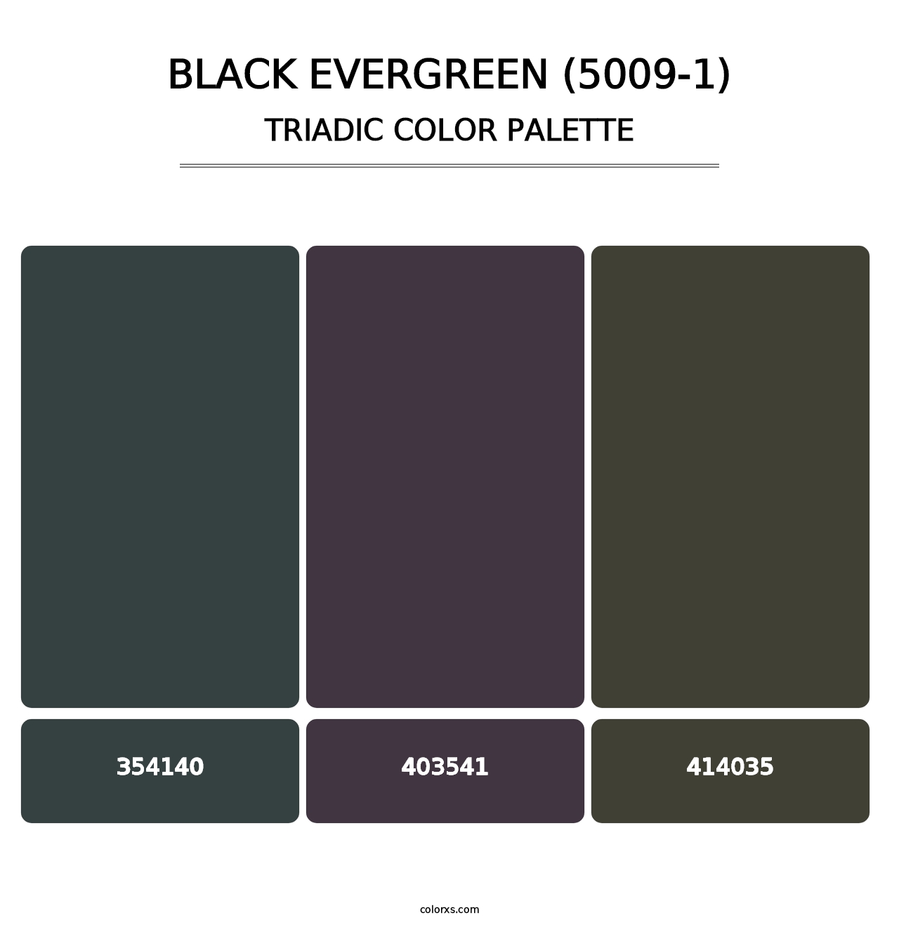 Black Evergreen (5009-1) - Triadic Color Palette