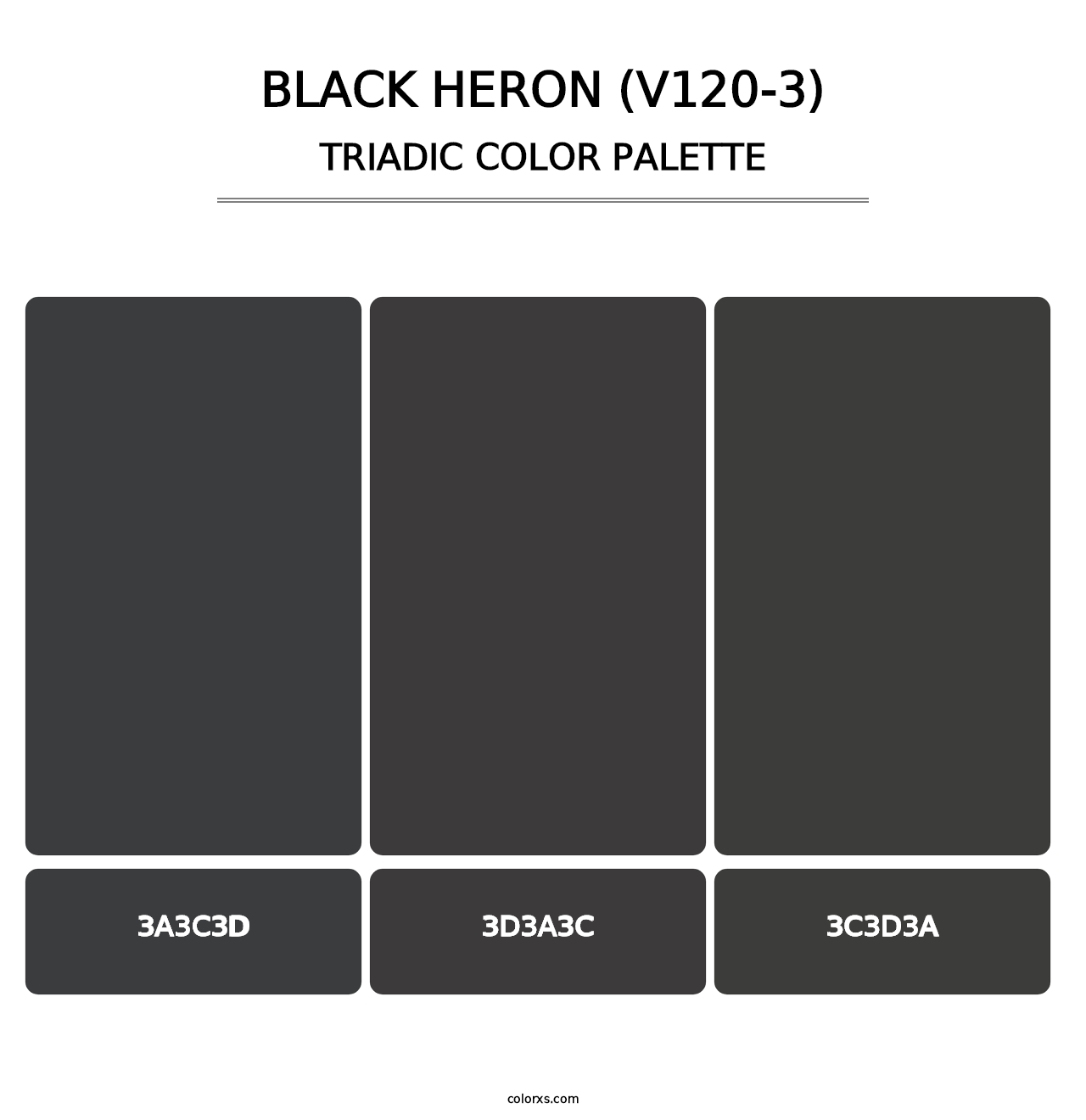 Black Heron (V120-3) - Triadic Color Palette