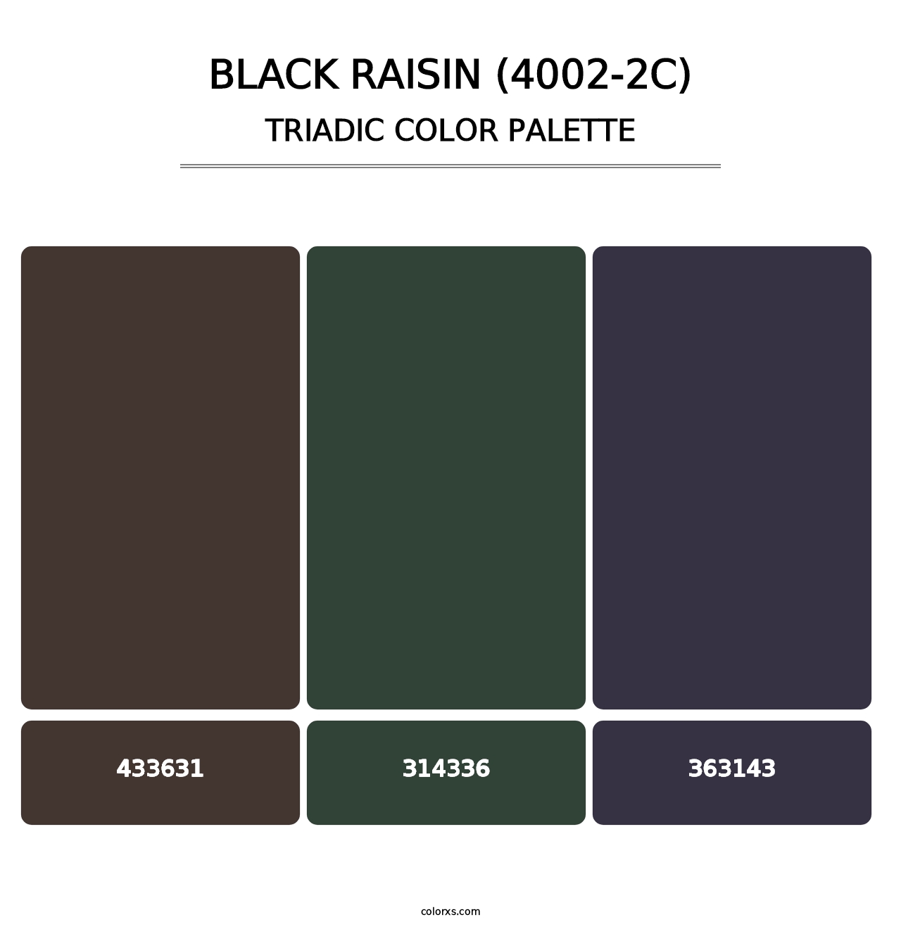 Black Raisin (4002-2C) - Triadic Color Palette
