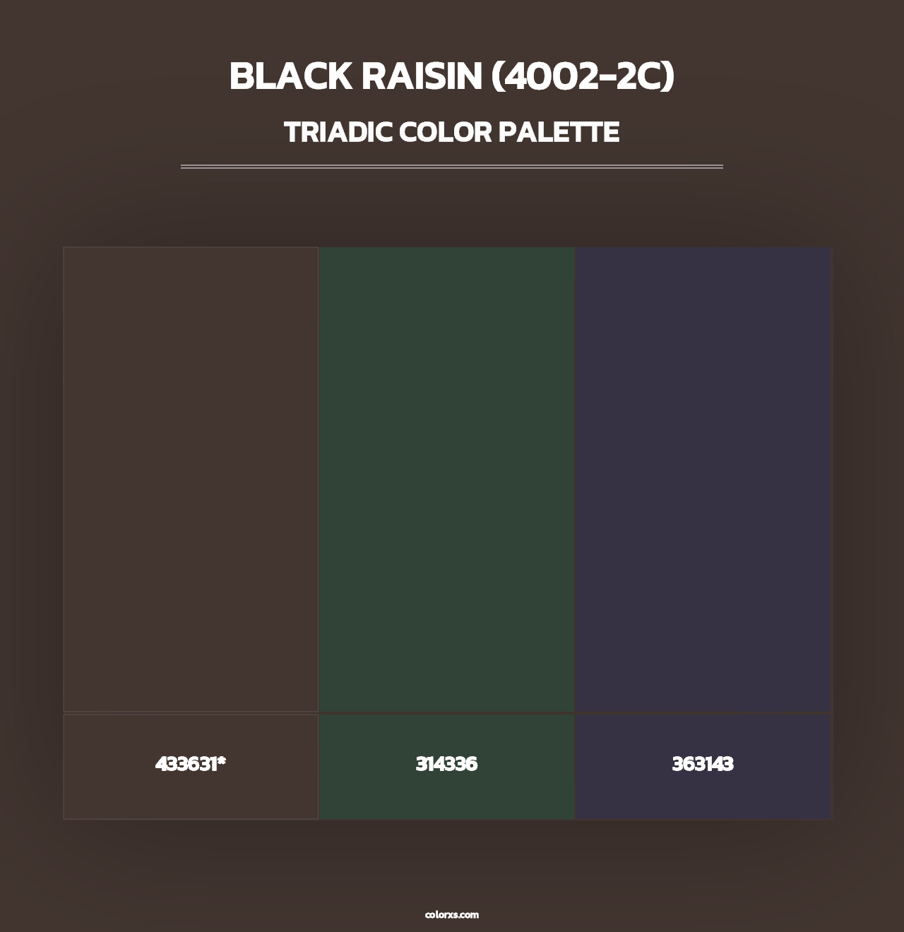 Black Raisin (4002-2C) - Triadic Color Palette