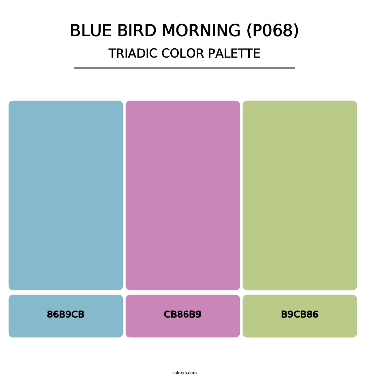 Blue Bird Morning (P068) - Triadic Color Palette