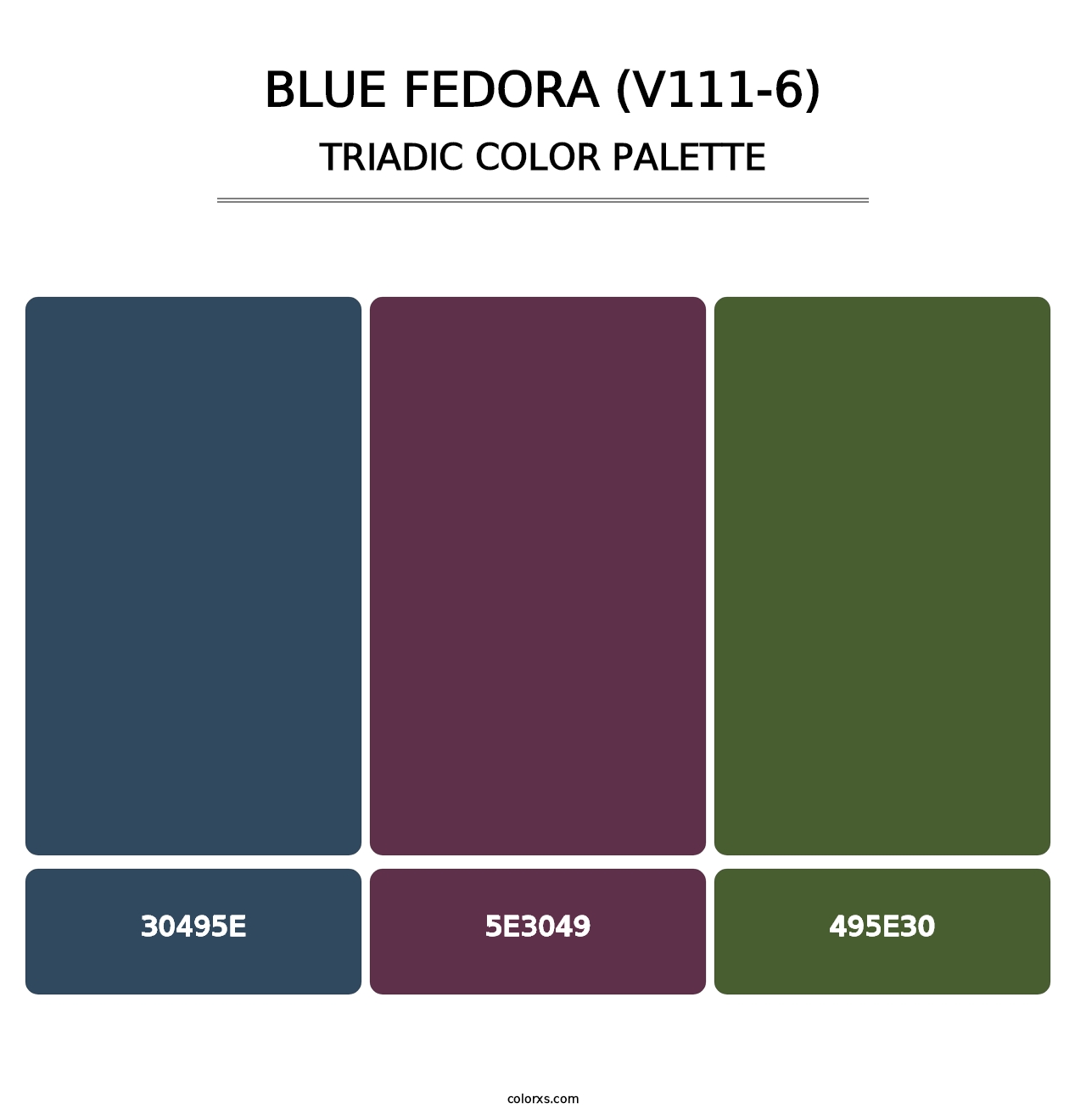 Blue Fedora (V111-6) - Triadic Color Palette