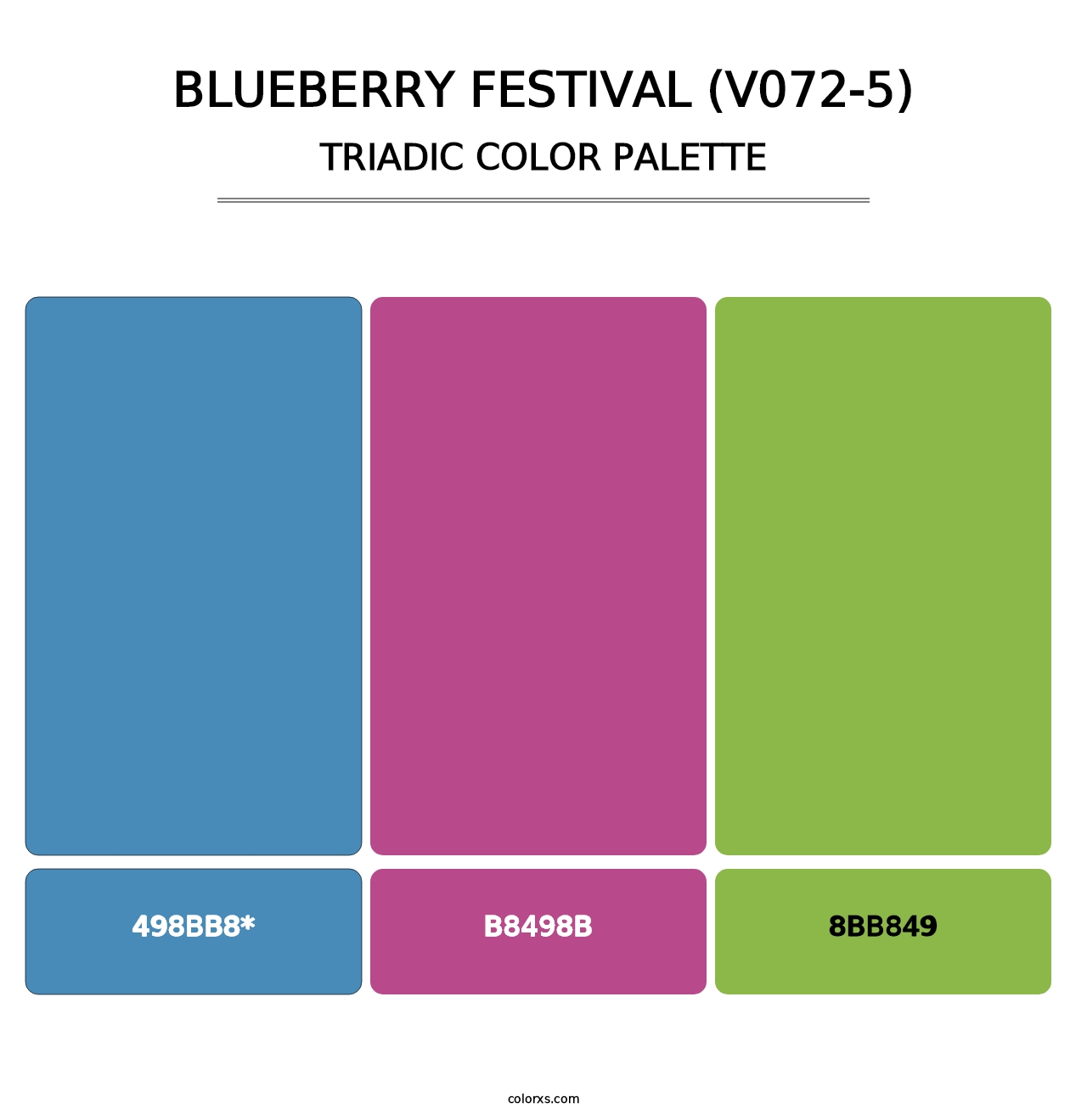 Blueberry Festival (V072-5) - Triadic Color Palette