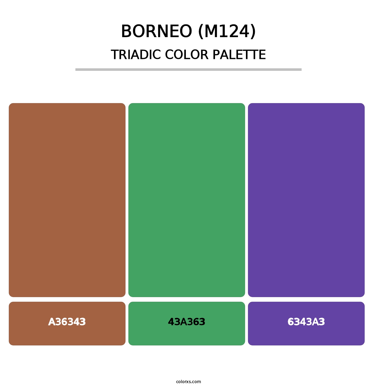 Borneo (M124) - Triadic Color Palette