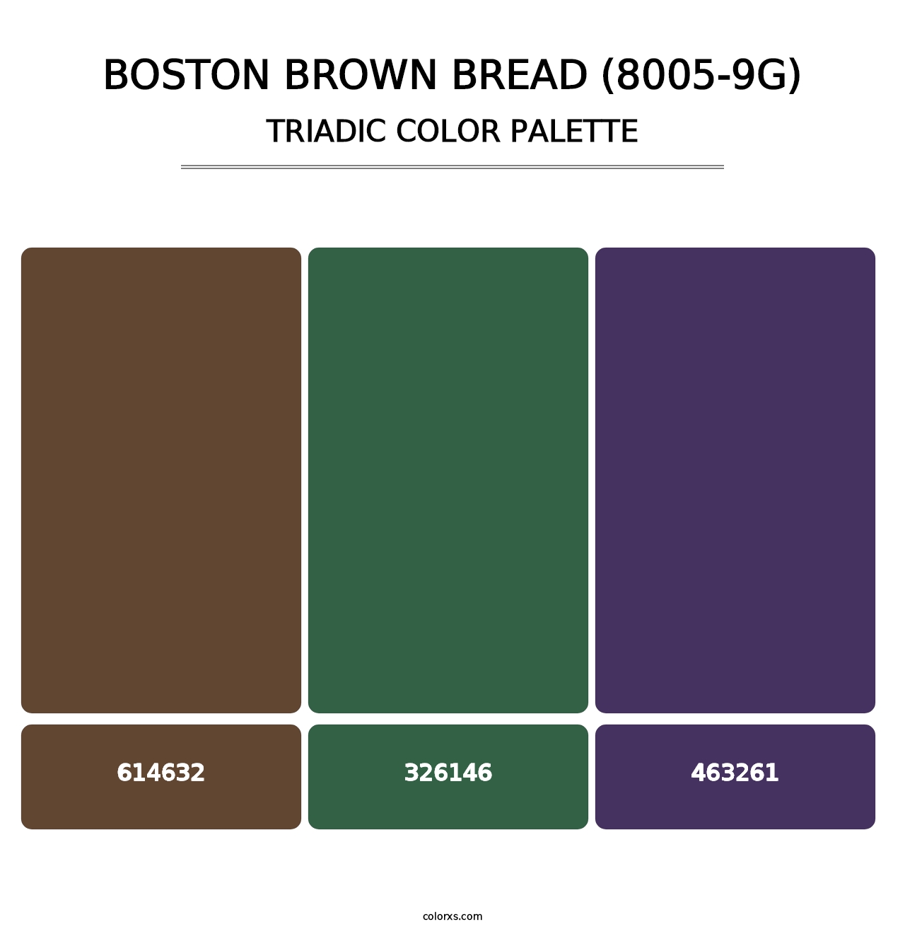 Boston Brown Bread (8005-9G) - Triadic Color Palette