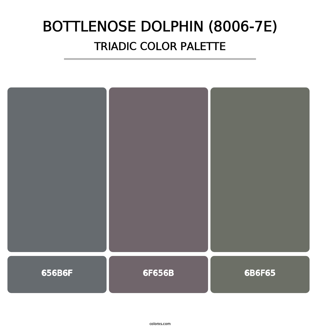 Bottlenose Dolphin (8006-7E) - Triadic Color Palette