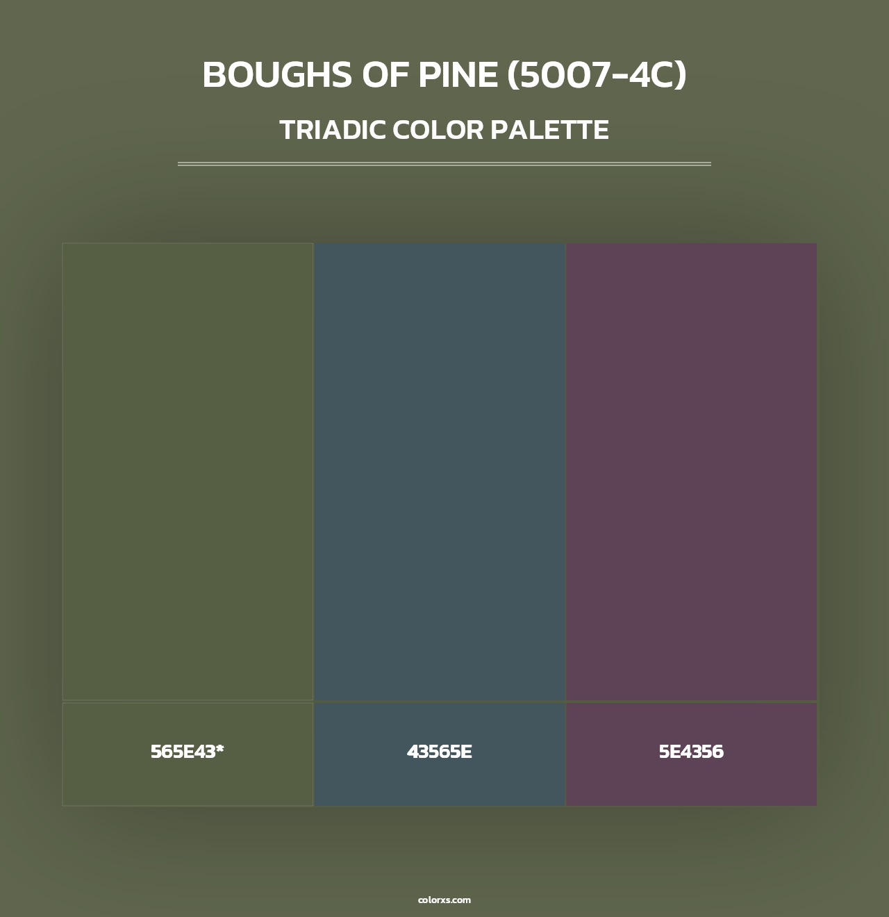 Boughs of Pine (5007-4C) - Triadic Color Palette