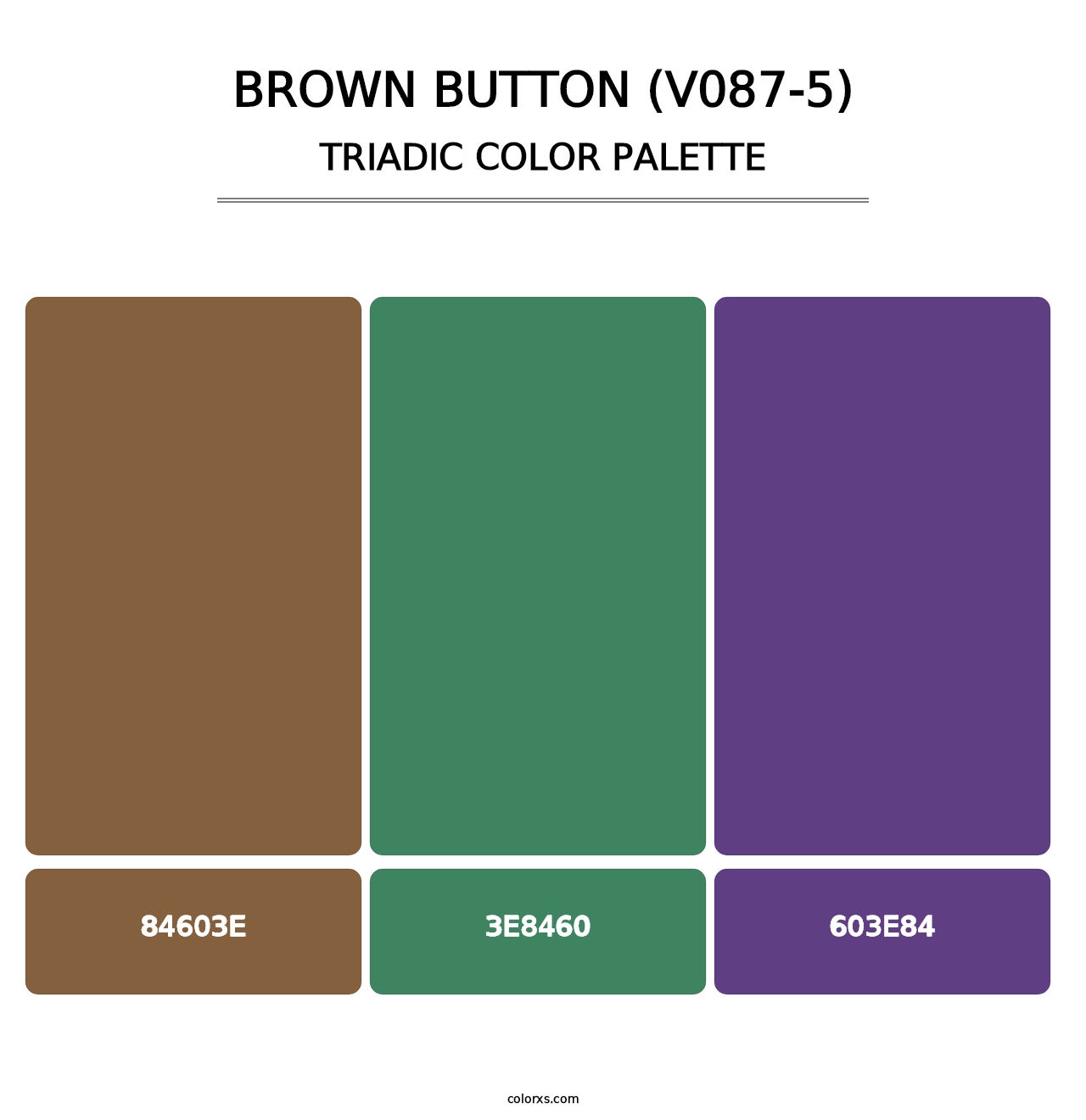 Brown Button (V087-5) - Triadic Color Palette