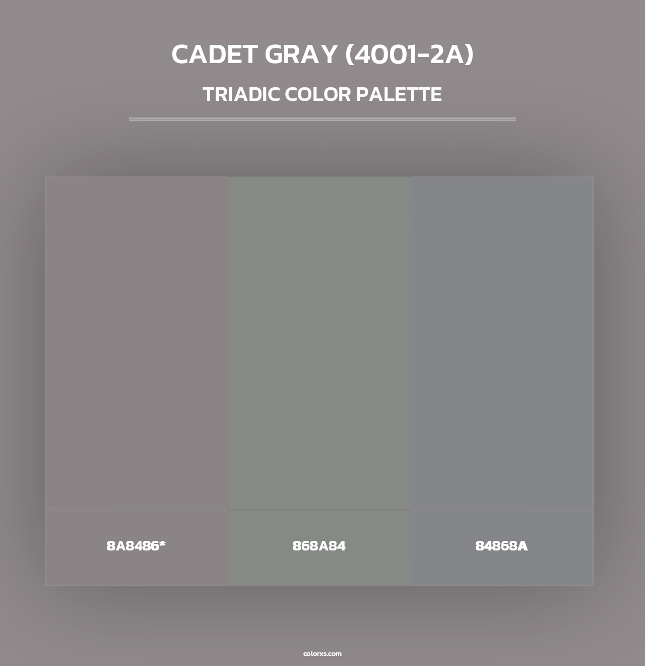 Cadet Gray (4001-2A) - Triadic Color Palette