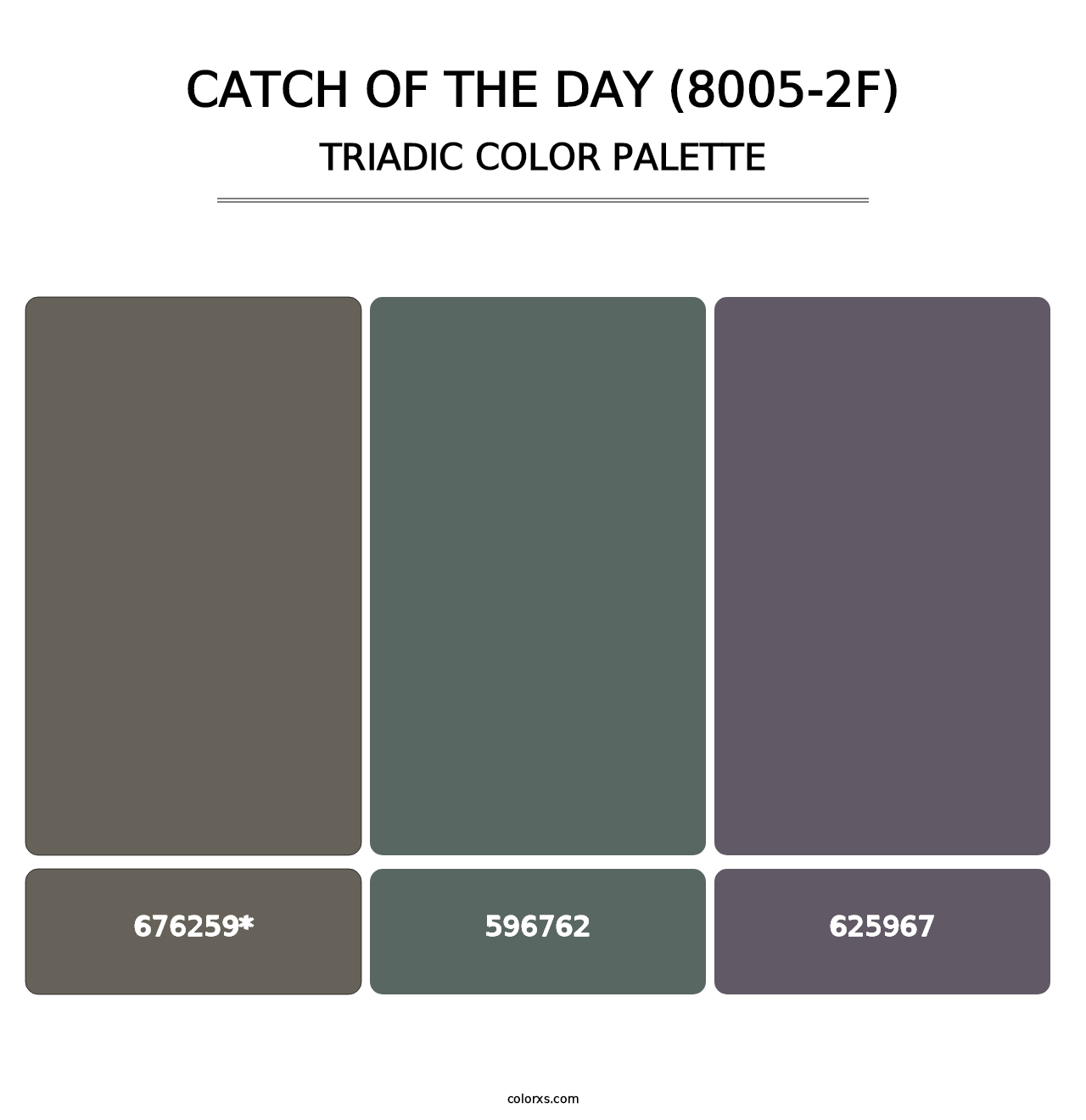 Catch of the Day (8005-2F) - Triadic Color Palette
