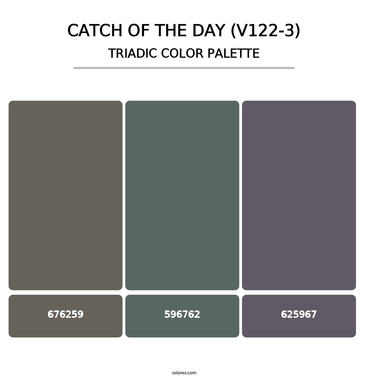 Catch of the Day (V122-3) - Triadic Color Palette