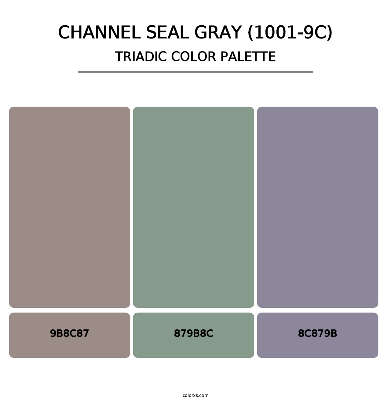 Channel Seal Gray (1001-9C) - Triadic Color Palette
