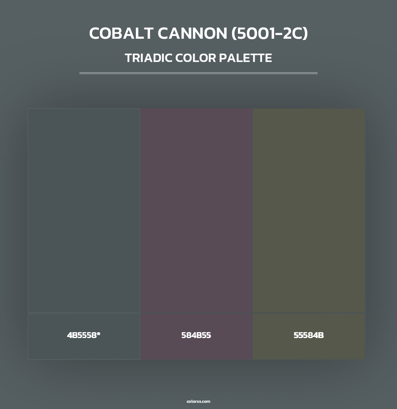 Cobalt Cannon (5001-2C) - Triadic Color Palette