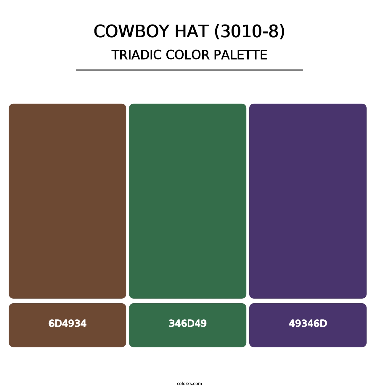 Cowboy Hat (3010-8) - Triadic Color Palette