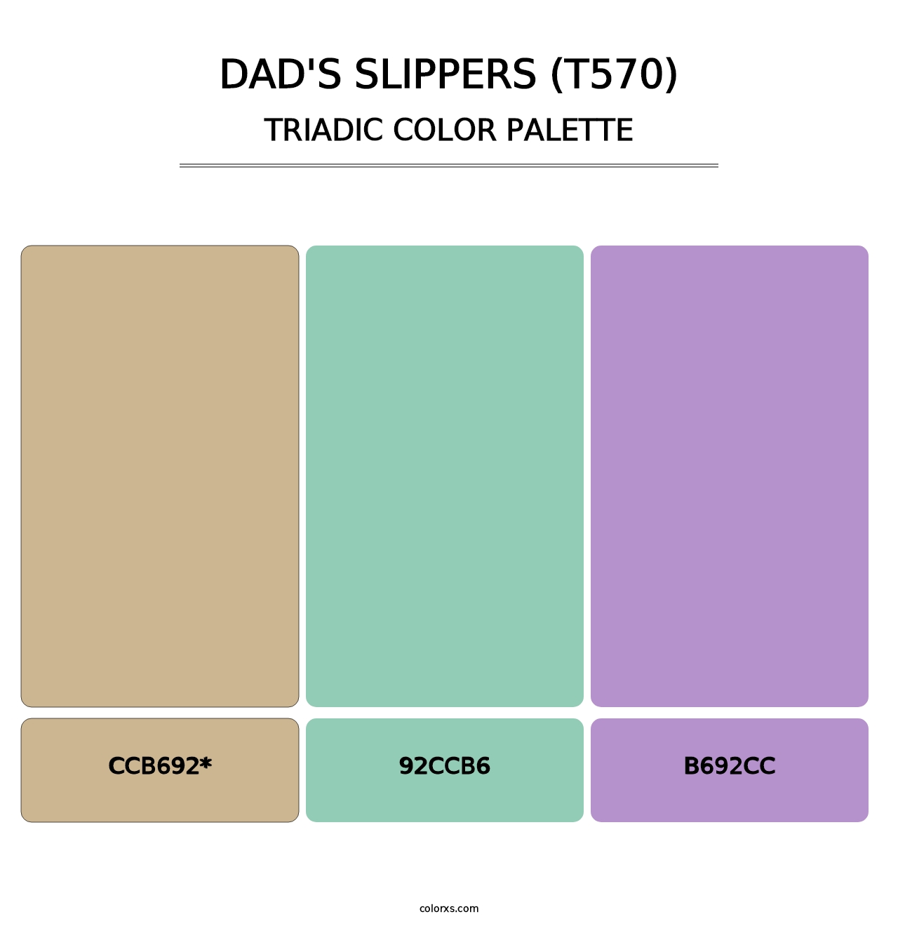 Dad's Slippers (T570) - Triadic Color Palette