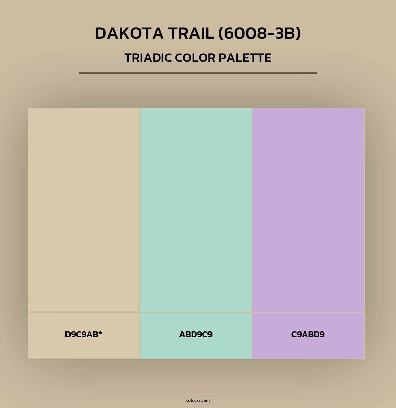 Dakota Trail (6008-3B) - Triadic Color Palette