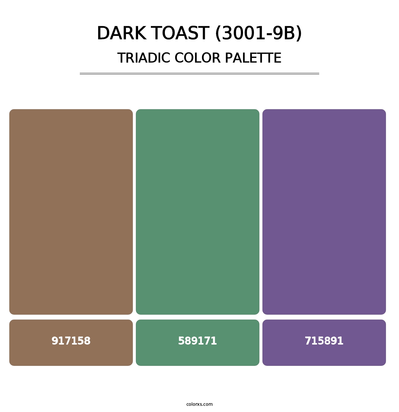 Dark Toast (3001-9B) - Triadic Color Palette