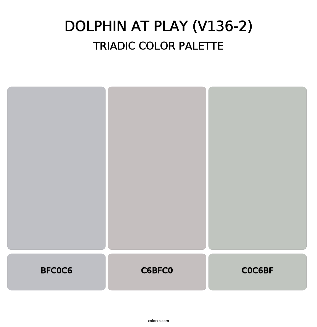 Dolphin at Play (V136-2) - Triadic Color Palette