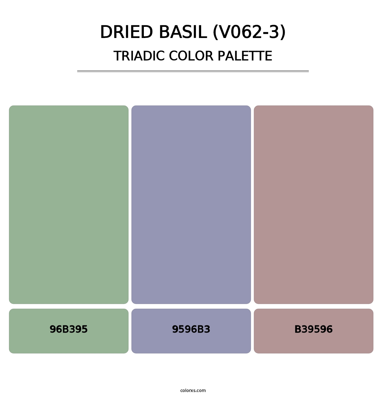 Dried Basil (V062-3) - Triadic Color Palette