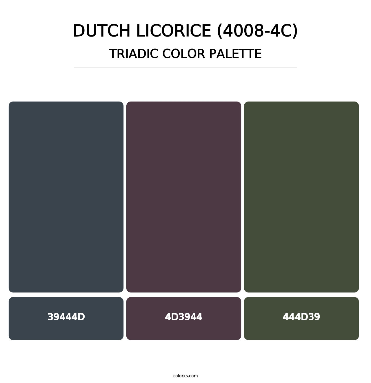 Dutch Licorice (4008-4C) - Triadic Color Palette