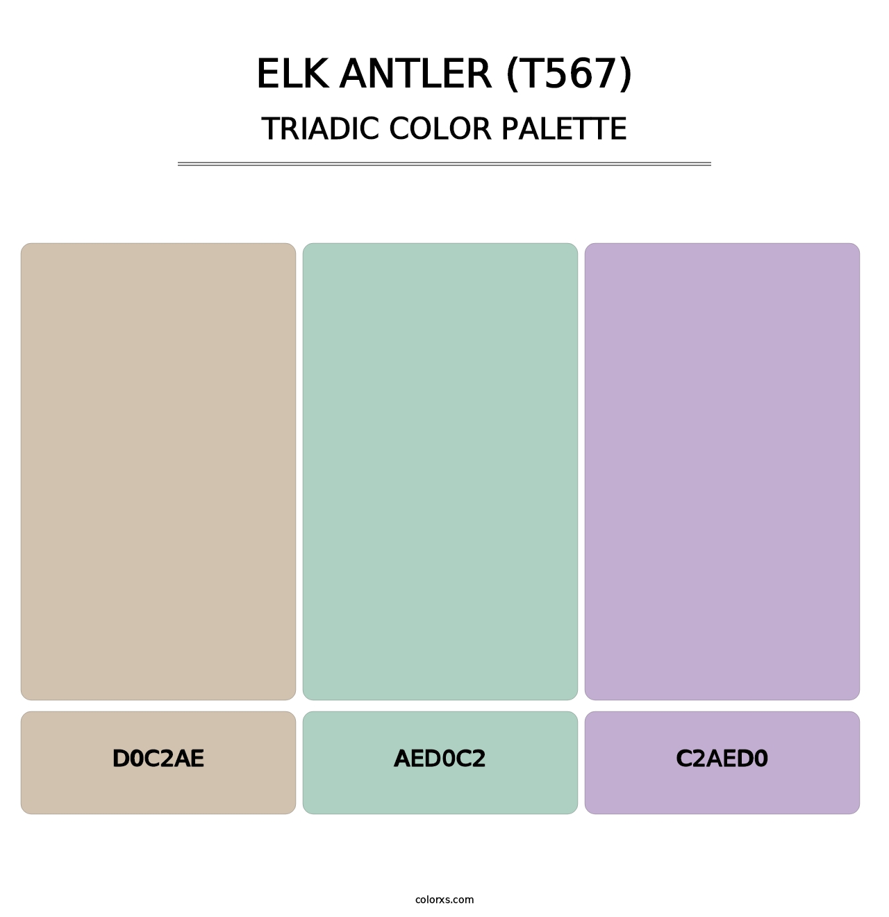 Elk Antler (T567) - Triadic Color Palette