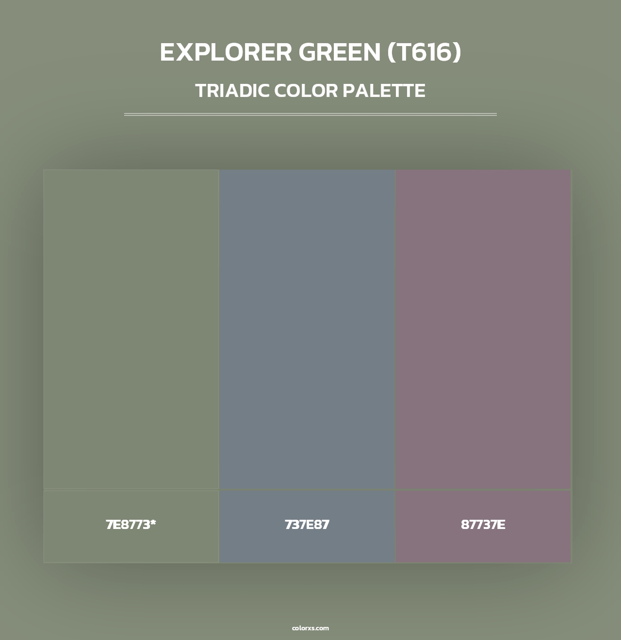 Explorer Green (T616) - Triadic Color Palette