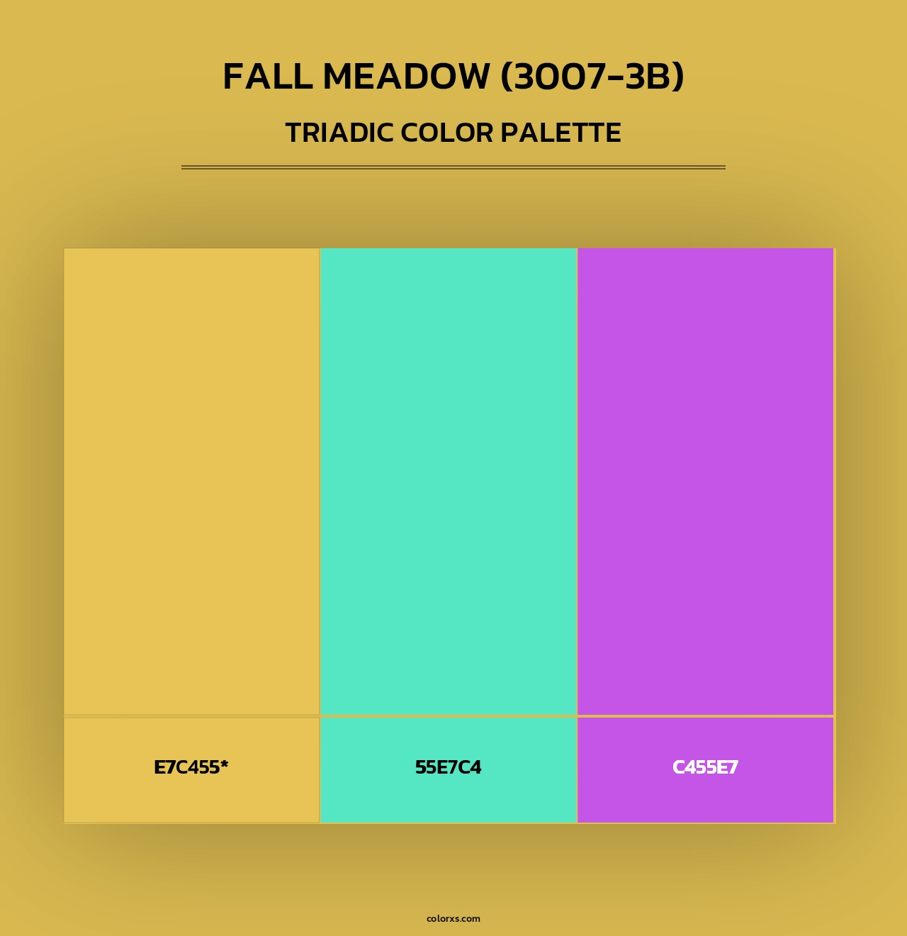 Fall Meadow (3007-3B) - Triadic Color Palette