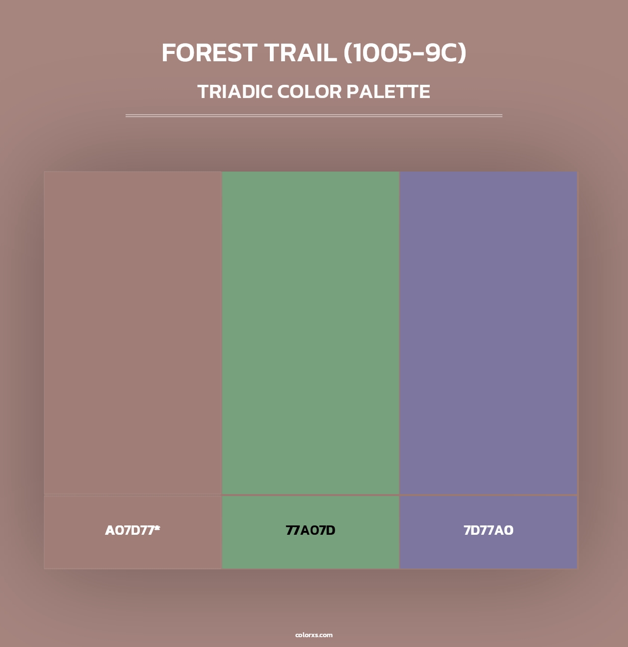 Forest Trail (1005-9C) - Triadic Color Palette