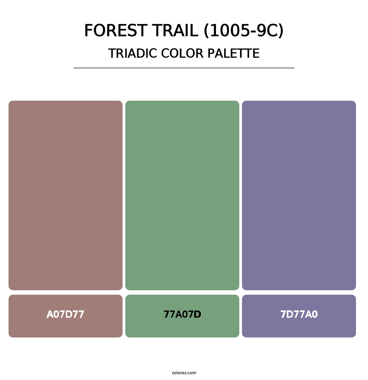 Forest Trail (1005-9C) - Triadic Color Palette