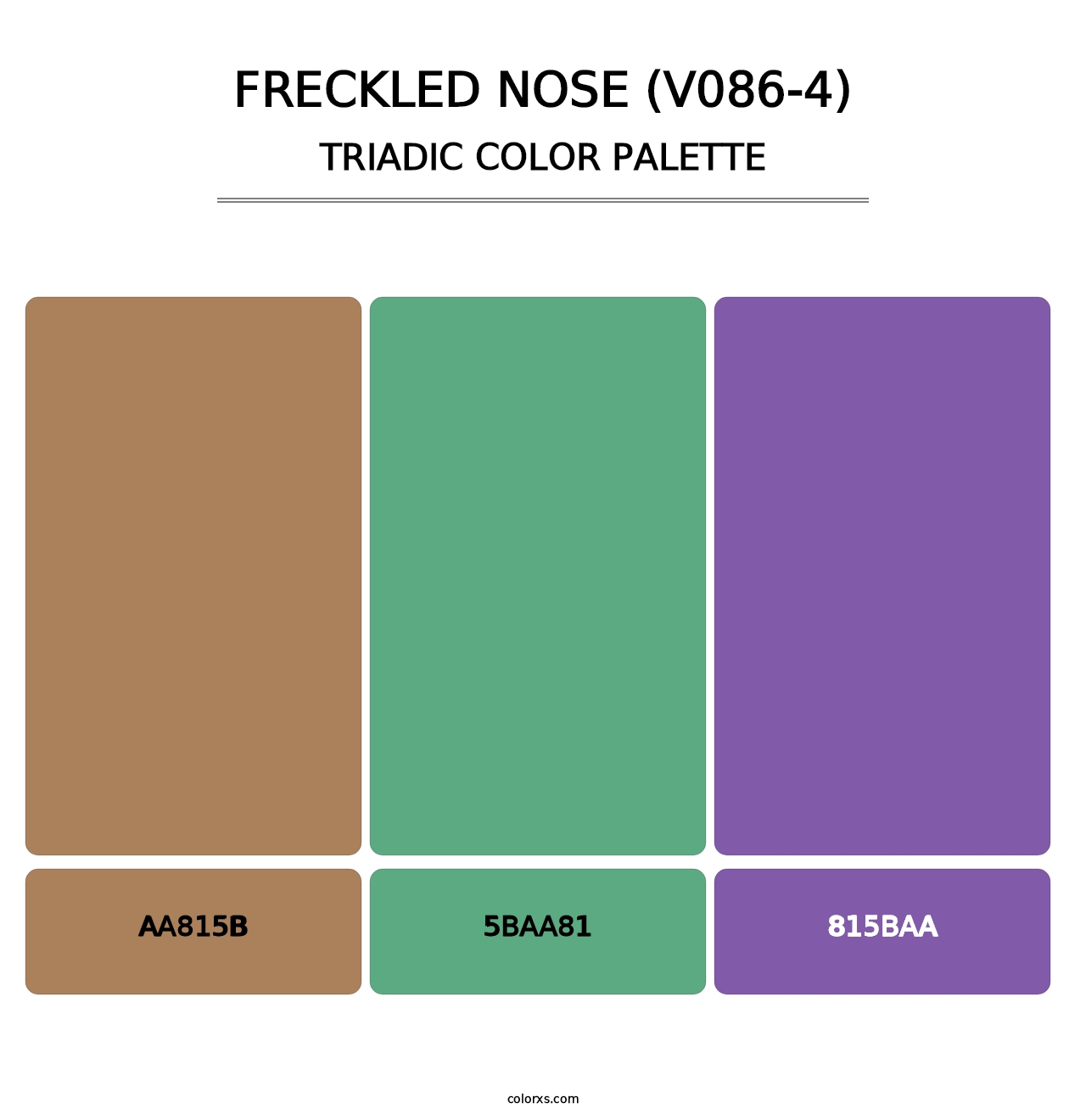 Freckled Nose (V086-4) - Triadic Color Palette