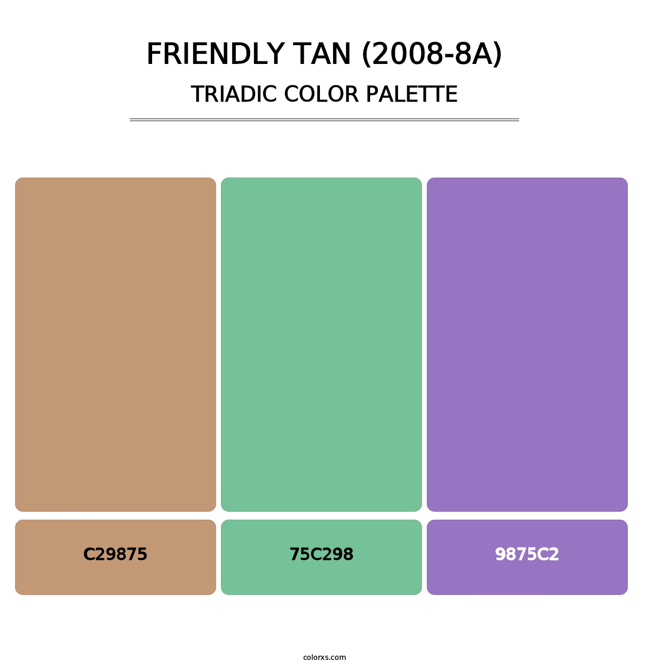 Friendly Tan (2008-8A) - Triadic Color Palette