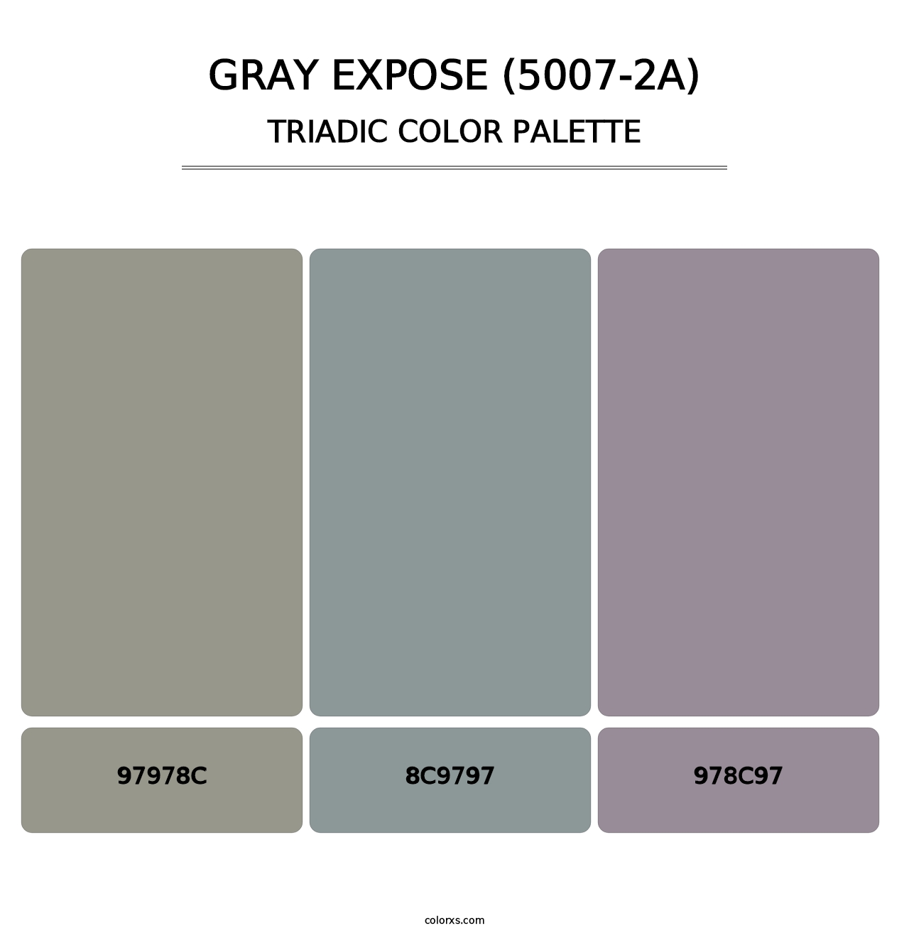 Gray Expose (5007-2A) - Triadic Color Palette