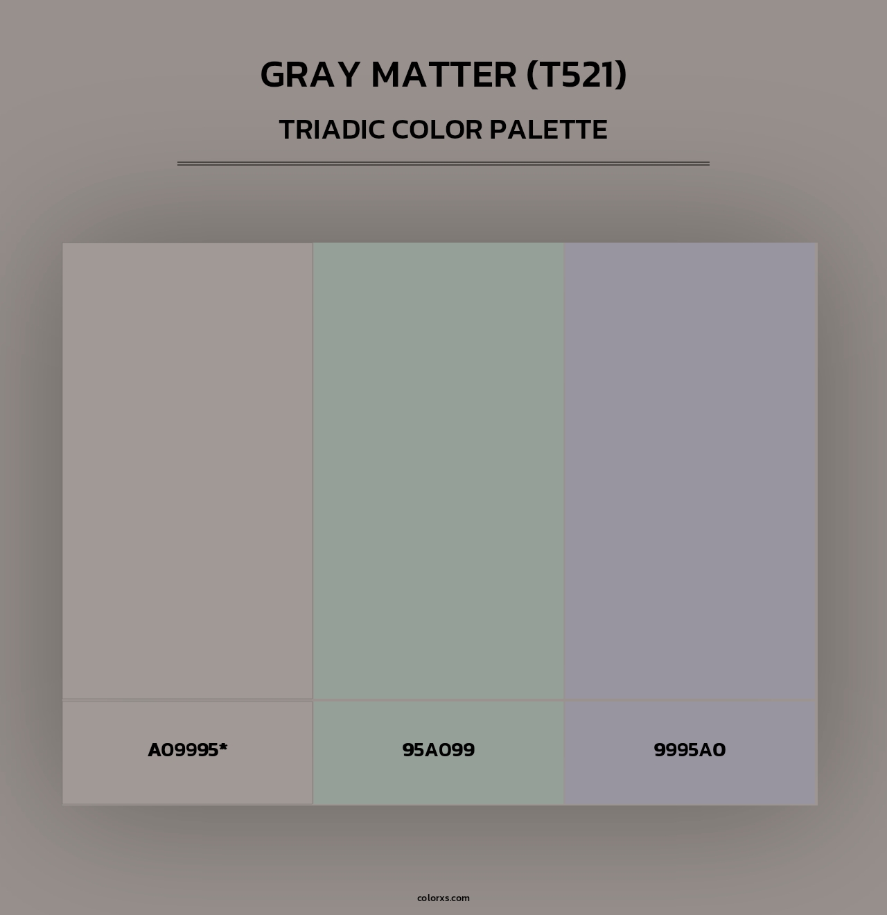 Gray Matter (T521) - Triadic Color Palette