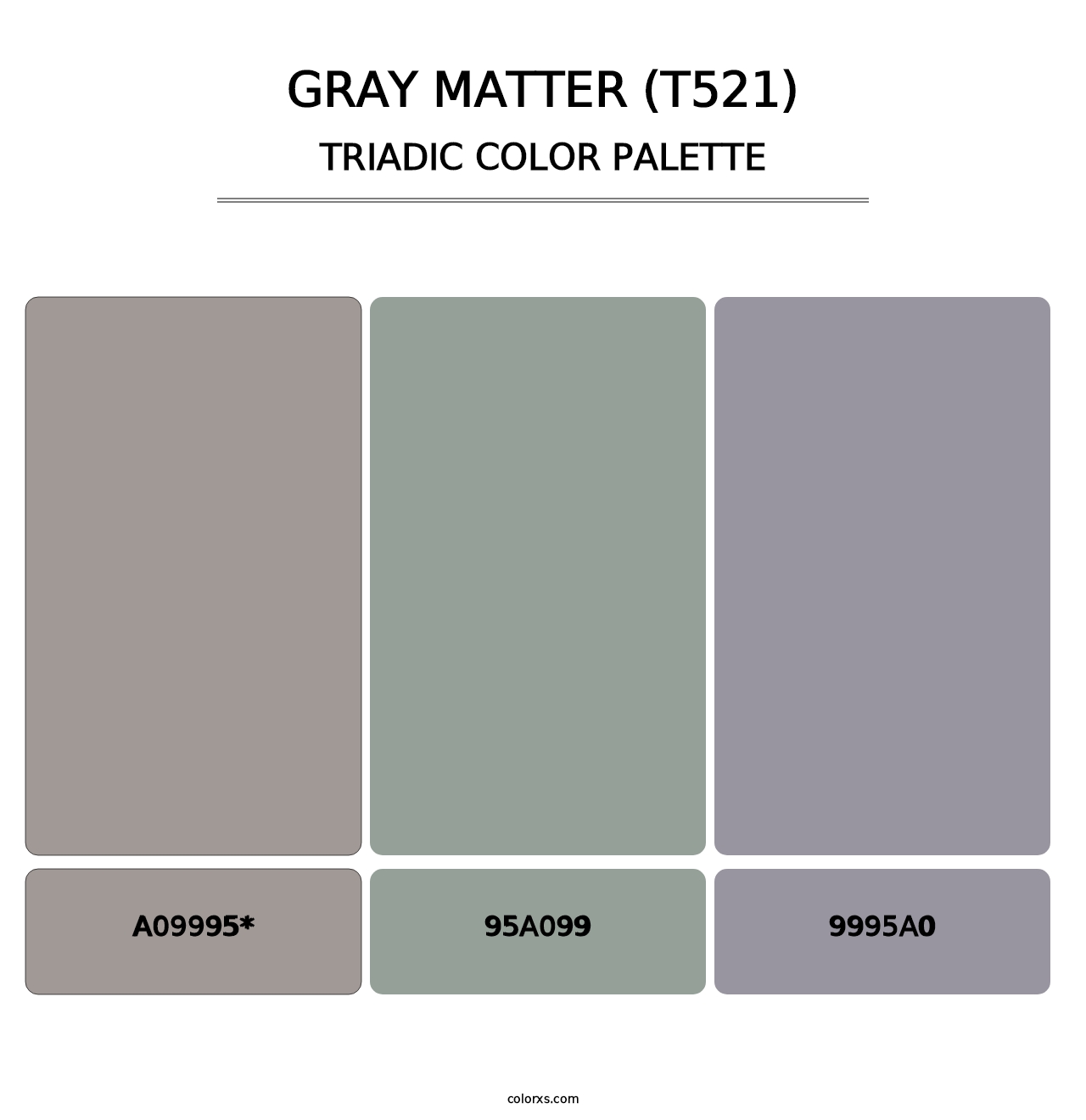Gray Matter (T521) - Triadic Color Palette