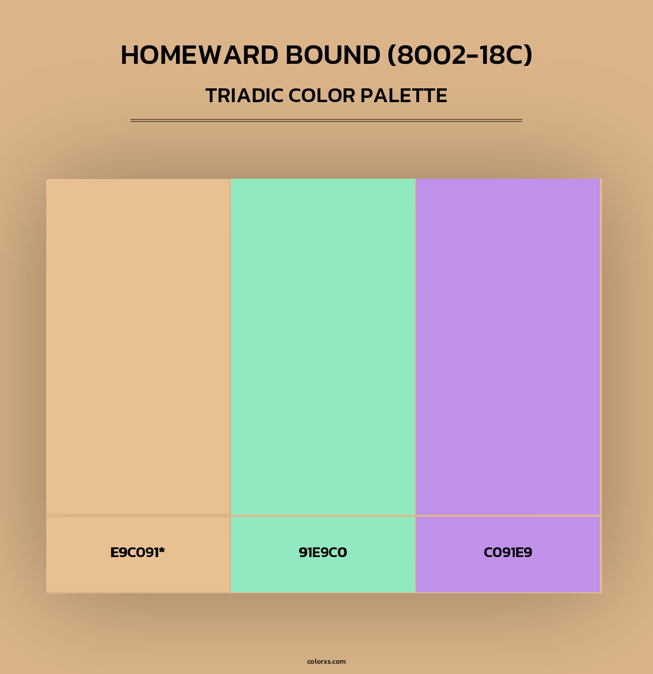 Homeward Bound (8002-18C) - Triadic Color Palette