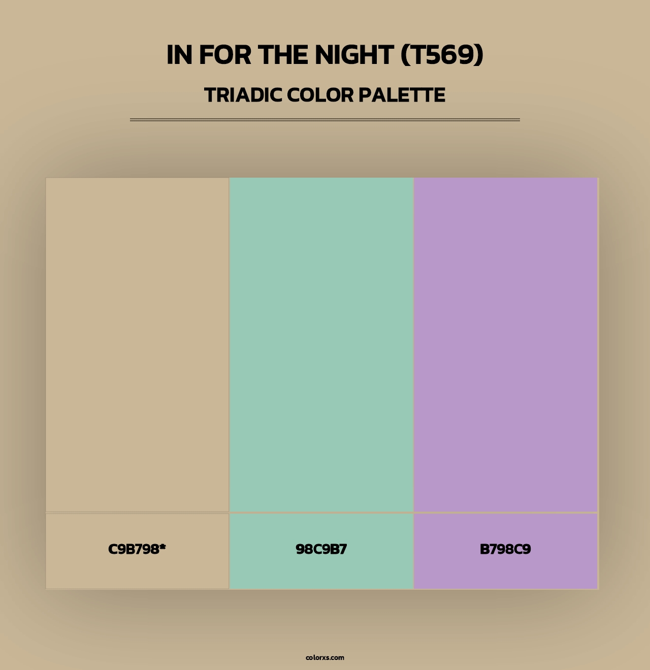 In for the Night (T569) - Triadic Color Palette