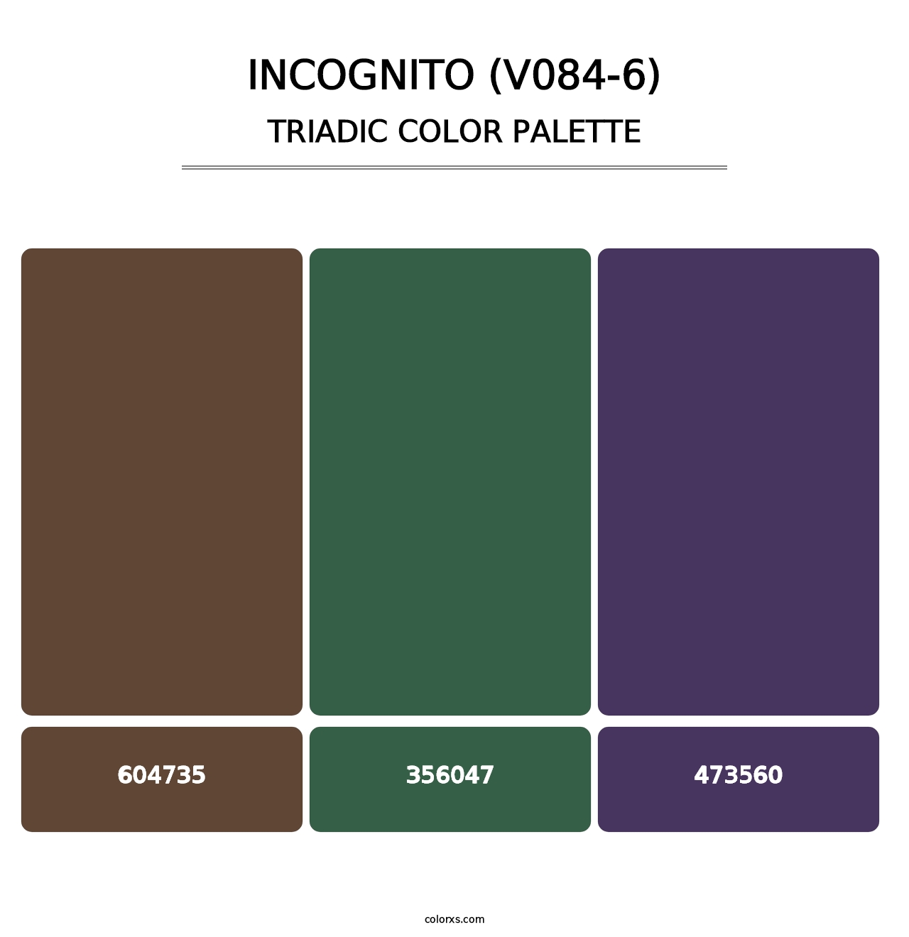 Incognito (V084-6) - Triadic Color Palette