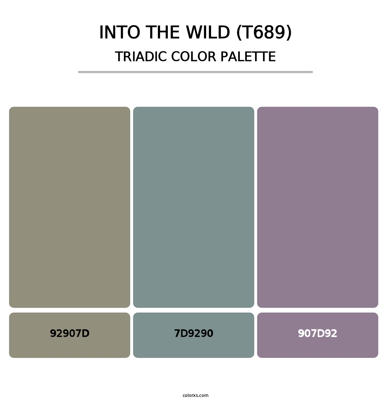 Into the Wild (T689) - Triadic Color Palette