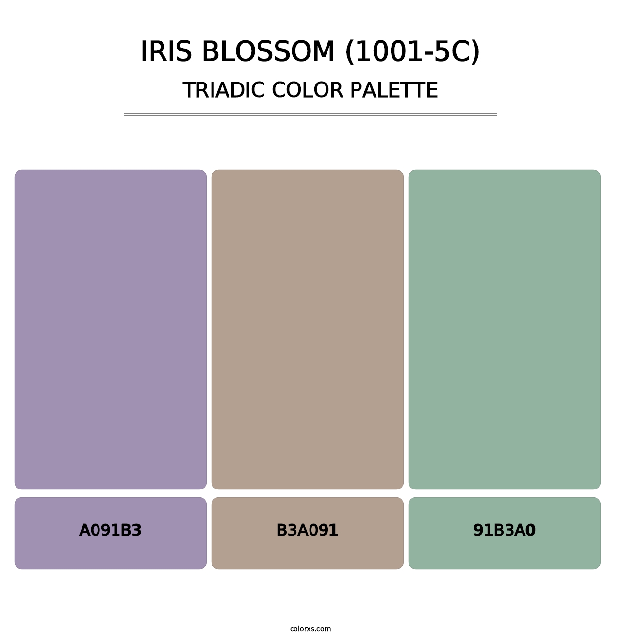 Iris Blossom (1001-5C) - Triadic Color Palette