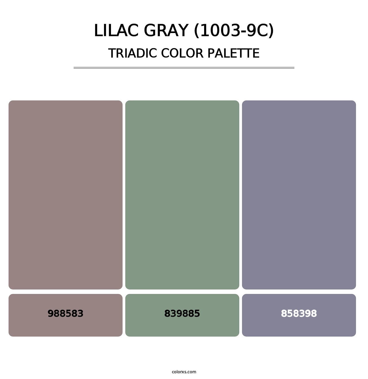 Lilac Gray (1003-9C) - Triadic Color Palette