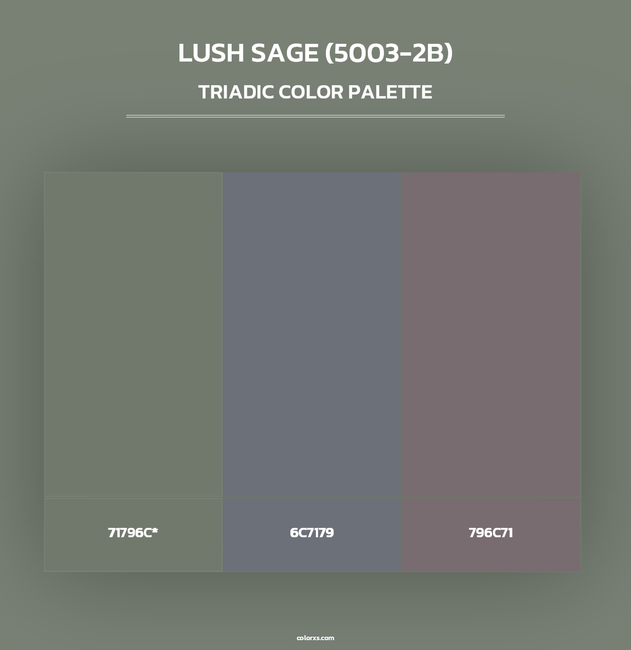Lush Sage (5003-2B) - Triadic Color Palette