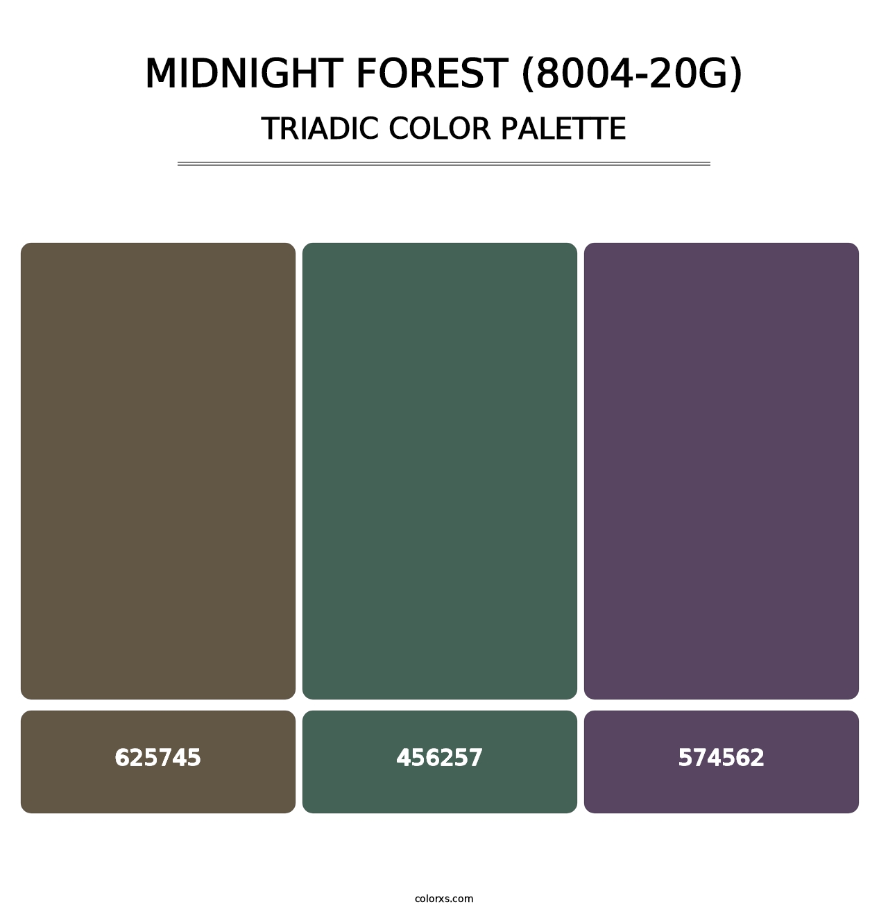 Midnight Forest (8004-20G) - Triadic Color Palette